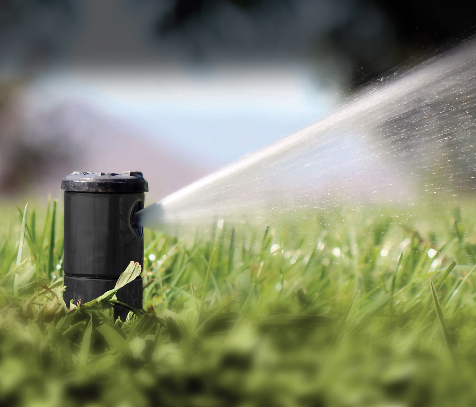 Pop-up irrigation sprinkler spraying across a sunlit lawn