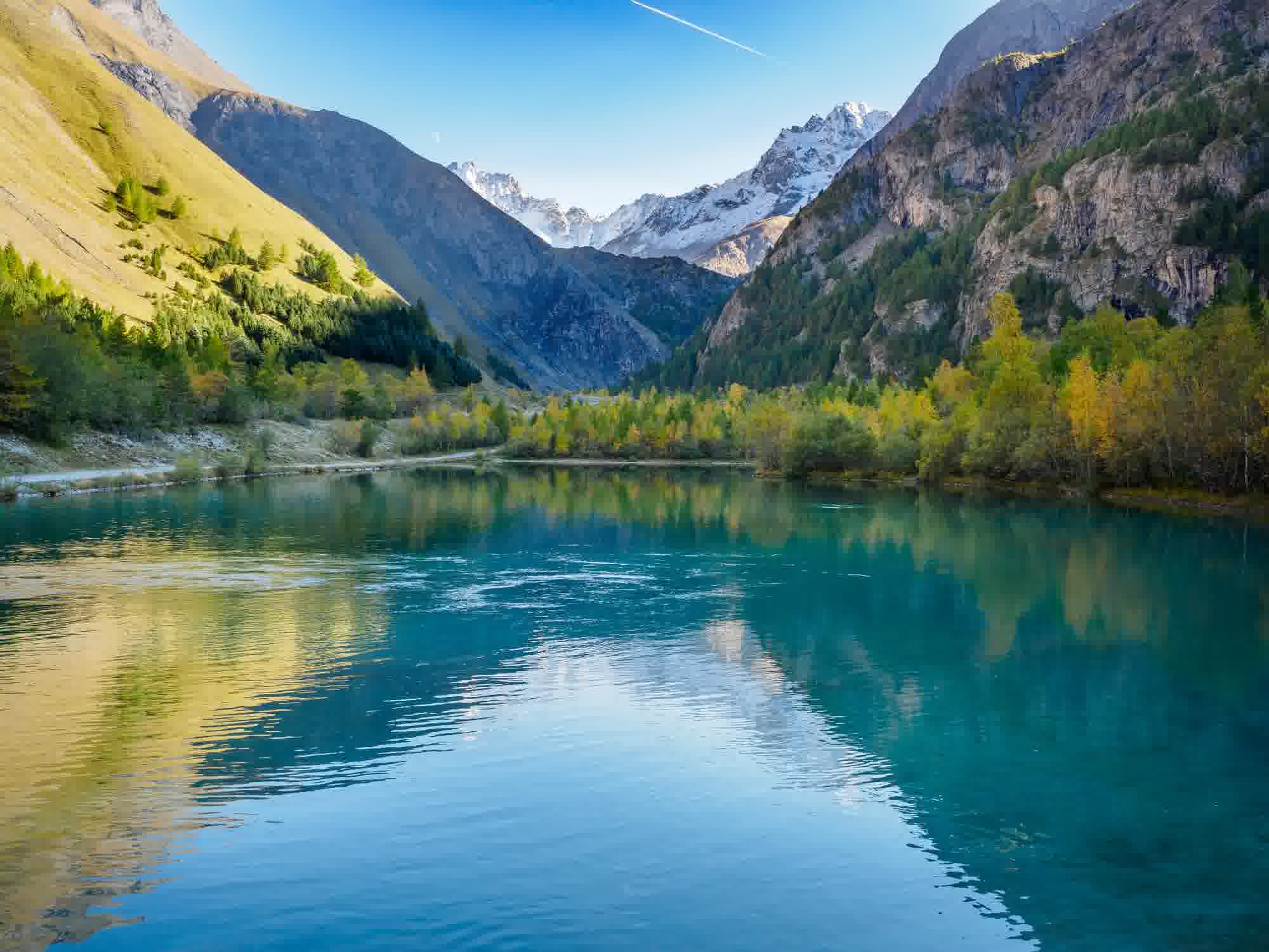 Pristine alpine watershed reflecting forested mountains